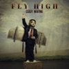 Fly High - Single