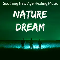 Nature Dream - Soothing New Age Healing Music for Spa Breaks Massage and Yoga Meditation by John Spa Williams album reviews, ratings, credits