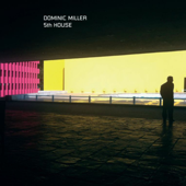 Angel - Dominic Miller