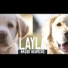 Layla - Single, 2016