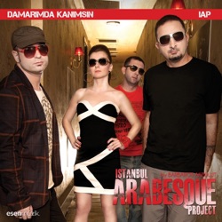 İstanbul Arabesque Project - Unutamadım / Kaç Kadeh Kırıldı