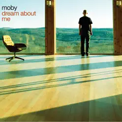 Dream About Me / Feeling So Real - Single - Moby