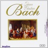 New Baroque Ensemble - Johann Sebastian Bach : Suite No.3 in Re Magg. Bwv 1068 : Bourree