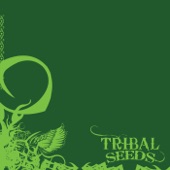 Tribal Seeds artwork