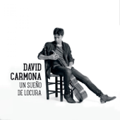 Un Sueño de Locura - David Carmona