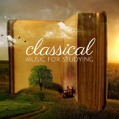 Classical Music for Studying artwork