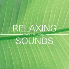 Relaxing Sounds - Relax & Sleep Well (Rain, Ocean, Piano Music, New Age Relaxing Music) by Sweet Dreams & Oasis of Meditation album reviews, ratings, credits