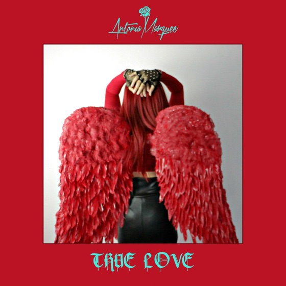 Cover artwork for True Love