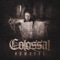 Ninth Circle - Colossal lyrics