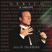 Julio Iglesias - Amanecí en Tus Brazos