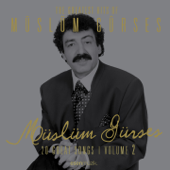 The Greatest Hits of Müslüm Gürses, Vol. 2 (20 Great Songs) - Müslüm Gürses
