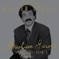 The Greatest Hits of Müslüm Gürses, Vol. 2 (20 Great Songs) by Müslüm Gürses album reviews, ratings, credits
