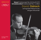 Violin Concerto No. 1 in A Minor, Op. 77: I. Nocturne. Adagio (Live) artwork