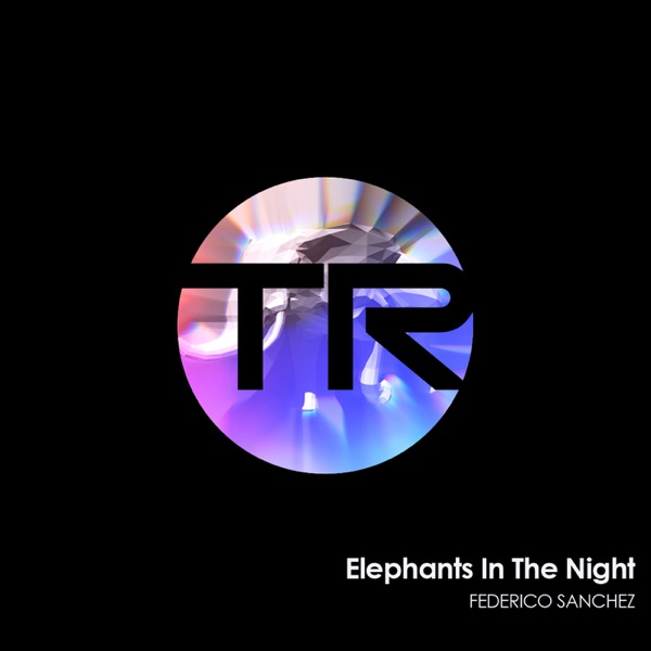 Elephants in the Night