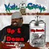 Up & Down (feat. Boogieman) - Single album lyrics, reviews, download