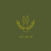 Lift Me Up (Radio Mix) artwork