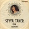 Lider - Seyyal Taner lyrics