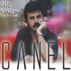 Güz Yangını