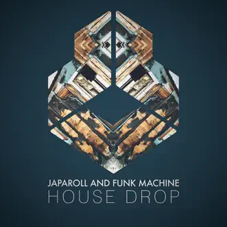 House Drop (Extended Mix) by JapaRoLL & Funk Machine song reviws