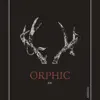 Stream & download Orphic - Single