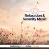 Relaxation & Serenity Music (Well Being - Zen - Relax - Escape), 2017