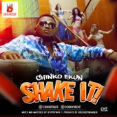 Shake It artwork