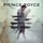 Prince Royce & Shakira-Deja vu