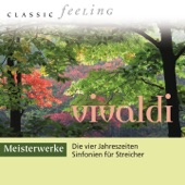 The Four Seasons, Violin Concerto No. 2 in G Minor, RV 315 "Summer": II. Adagio e piano. Presto e forte in G Minor artwork