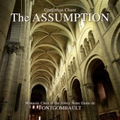 The Assumption artwork