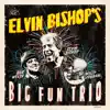 Elvin Bishop's Big Fun Trio album lyrics, reviews, download