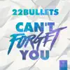 Can't Forget You - Single album lyrics, reviews, download