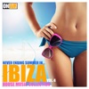 Never Ending Summer In... Ibiza!, Vol. 4 (House Music Selection)