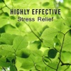 Highly Effective Stress Relief - Meditate to Help Ease Anxiety, Outdoor Sounds to Breathe Deeply, Tune In to Your Body, New Age Music