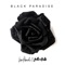 Black Paradise - Lowheads & PillowTalk lyrics