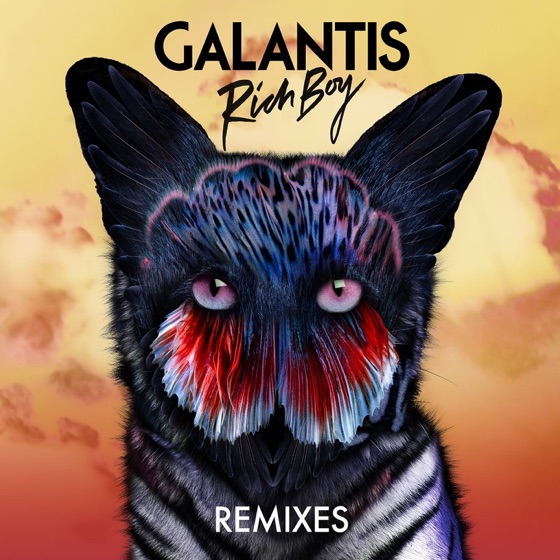 Cover artwork for Rich Boy (Quintino Remix)