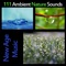 Ambient Nature Sounds - Natural Healing Spa lyrics