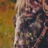 Pleasure Suck I artwork