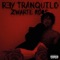 Zwarte Roos - Rey Tranquilo lyrics