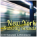 On a Train in Brooklyn - City Sounds Ambience