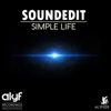 Simple Life - Single