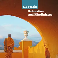 111 Tracks Relaxation and Mindfulness: Meditation Spiritual Healing Sounds of Nature, New Age Yoga Music, Find Your Inner Peace & Stress Relief by Various Artists album reviews, ratings, credits