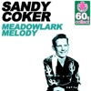 Meadowlark Melody (Remastered) - Single