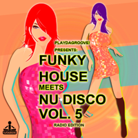 Various Artists - Funky House Meets Nu Disco, Vol. 5 (Radio Edition) artwork