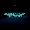 Something In the Water artwork