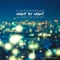Night By Night (Middletoyz Remix) - DJ Aristocrat & Gosha lyrics
