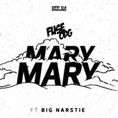 Mary Mary (feat. Big Narstie) artwork