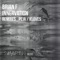 Innervation Two (Peja Remix) - Brian F lyrics