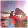 Searching (The Remixes) - Single