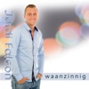 Waanzinnig - Single