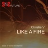 Like a Fire - Single